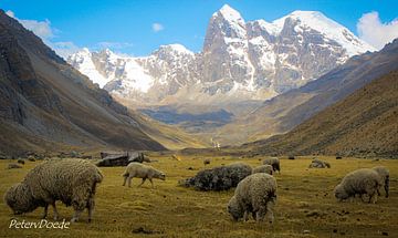 Cordillera Huayhuash by PeterDoede
