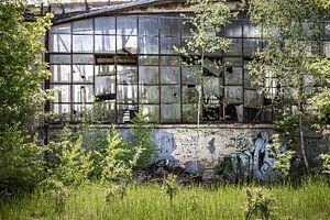 Zugewachsene Glasfassade - Lost Place Alter Flugplatz Rangsdorf