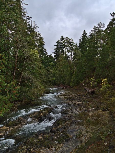 Little Qualicum Falls by Timon Schneider