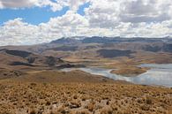 Landschap in Peru von Rob Hansum Miniaturansicht