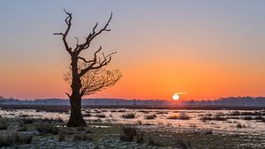 Zonsopkomst in Meppen van Lynxs Photography