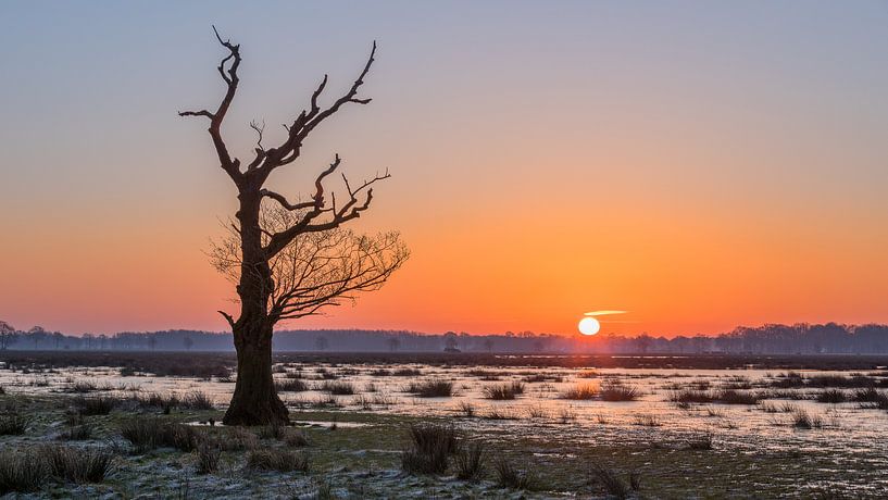Sunrise à Meppen par Lynxs Photography