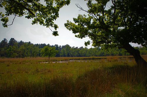 Niederländische Landschaft