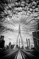 Erasmus Bridge