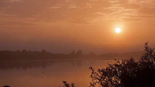 Zonsopkomst Bargerveen