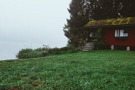 Nebel am See von Christian Späth