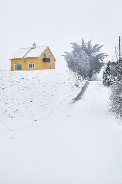 Eenzaam huis in een sneeuwstorm op Godøy, Sunnmøre, Møre og Romsdal, Norway van qtx