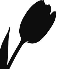 Tulip in all its simplicity by Caroline Guerain