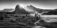 Die Seiser Alm in den Dolomiten in schwarzweiss .