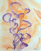 Butterfly II - extrait