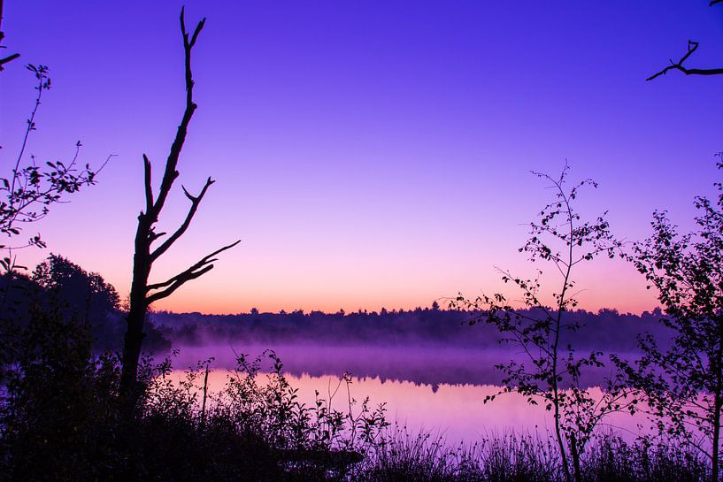 Colorful mirror by Jeroen Maas