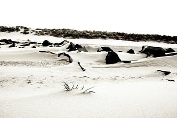 rocky beach Ameland by Nienke Stegeman