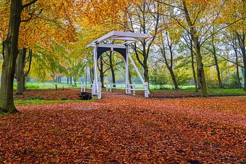 Herbst auf dem Landgut Ennemaborg in Midwolda von Henk Meijer Photography