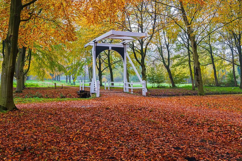 Herbst auf dem Landgut Ennemaborg in Midwolda von Henk Meijer Photography