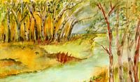 Birches on the shore