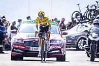 Jonas Vingegaard in yellow by Leon van Bon thumbnail