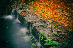 Moving Water von Dirk van Egmond