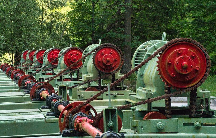 Het Waterloopbos in Marknesse, een interessant historisch openlucht laboratorium (bestel max 120) van Natuurpracht   Kees Doornenbal