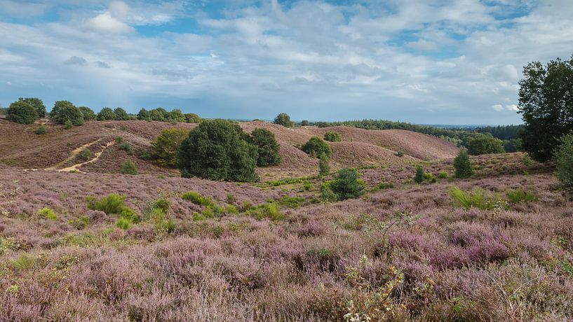 The Posbank. by Menno Schaefer