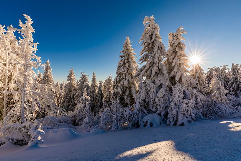 La neige fraîche dans la Forêt-Noire par Werner Dieterich