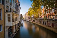 Herfstige Oudegracht