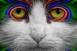 Katogen von Tejo Coen