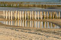 Rijen paalhoofden op het strand van Tonko Oosterink thumbnail