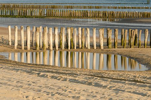 Rijen paalhoofden op het strand van Tonko Oosterink
