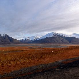 Svalbard view von Richard van der Hoek