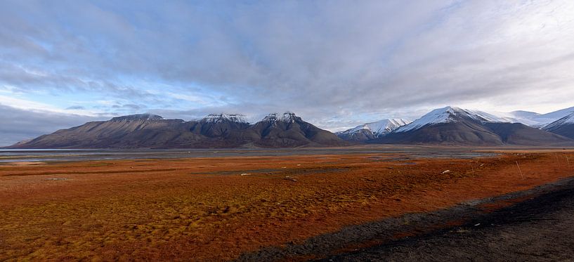 Svalbard view by Richard van der Hoek