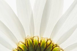 Margriet anders van Greetje van Son