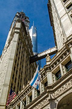 Gevel Wrigley Building en Trump Tower in Chigaco USA van Dieter Walther