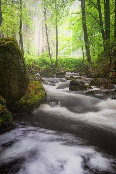 IlseGlow van Tim Lee Williams