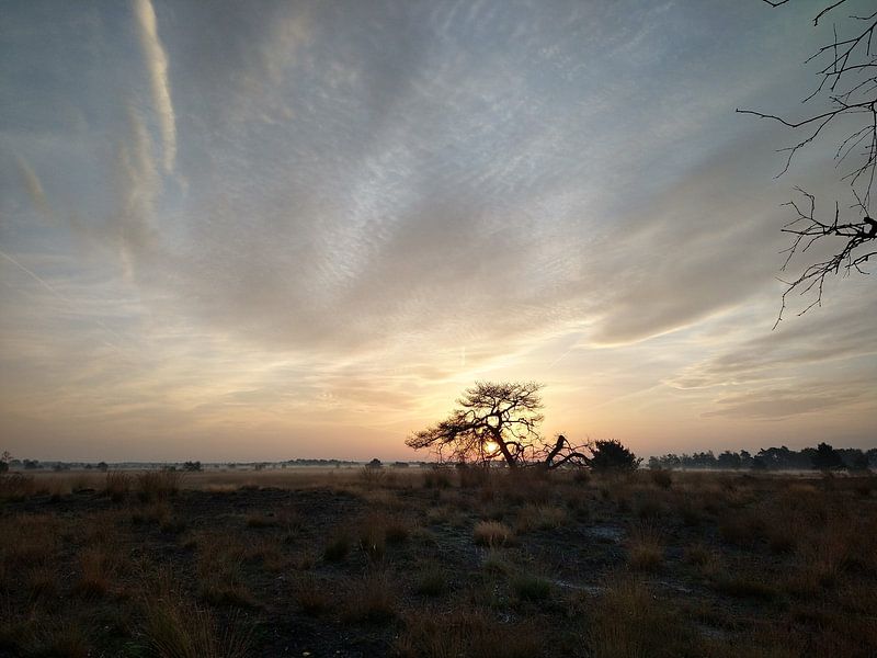 sunrise on the moor by Maarten Lans