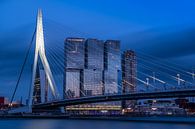 Erasmus brug en Rotterdam Skyline  van Nick Janssens thumbnail