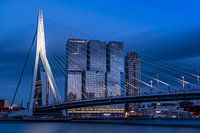 Erasmus brug en Rotterdam Skyline 