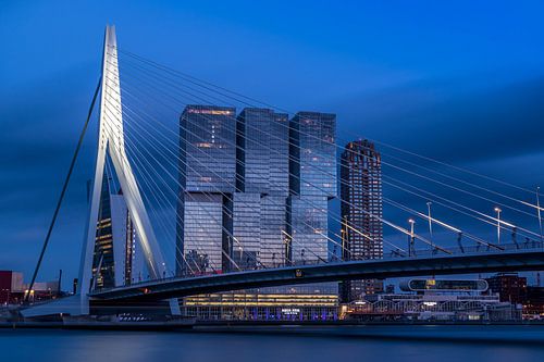 Erasmus bridge and Rotterdam Skyline 