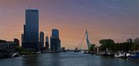Rotterdam Skyline van Atelier Liesjes thumbnail