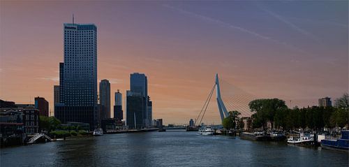 Rotterdam Skyline