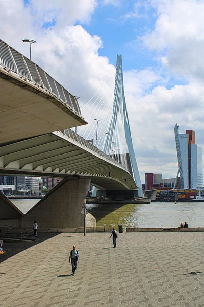 Architecture of the Erasmus Bridge in Rotterdam by Daphne Dorrestijn