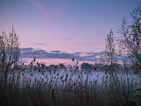 Before sunrise