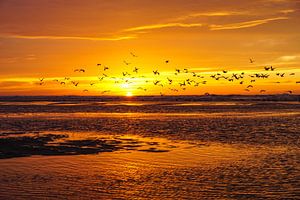 Zon, zee en strand von Dirk van Egmond