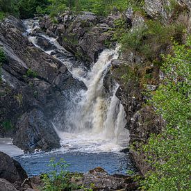 Uitzicht op Rogie falls in de black water rivier in de Schotse Hooglanden van Haarms