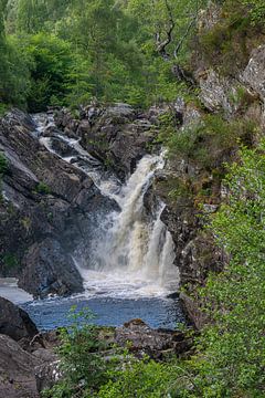 Uitzicht op Rogie falls in de black water rivier in de Schotse Hooglanden van Haarms