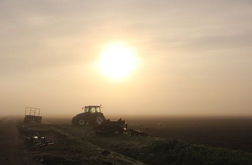 Texel Landschap 022