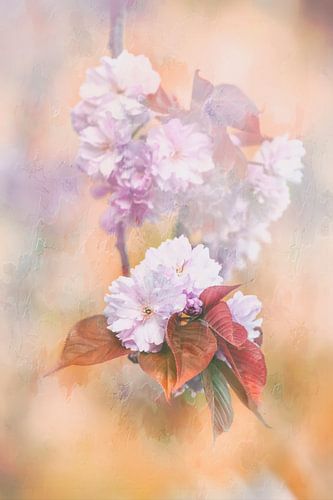 Romantic mood picture of the Japanese Sierker.