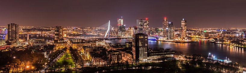 Rotterdam Panorama bij nacht / Rotterdam by night van Elles Rijsdijk