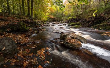 Betoverende Herfst aan de Rivier: Belgische Ardennen van Hevonax Photography