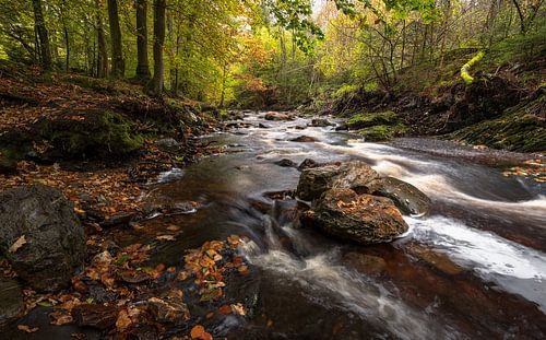 Betoverende Herfst aan de Rivier: Belgische Ardennen van Hevonax Photography