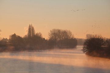 Weser, Bremen von Torsten Krüger